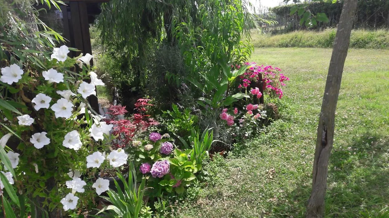 Apartmán Dolci Ricordi Livorno