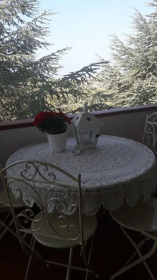 Dolci Ricordi Apartment Livorno